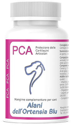 PCA - Protezione Cartilagini Articolari