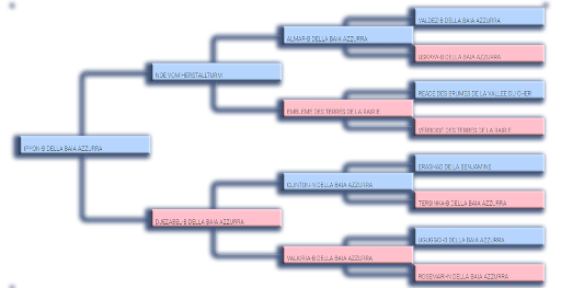 Pedigree padre di Diego dell'Ortensia Blu
