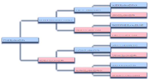 Pedigree padre di Enea dell'Ortensia Blu