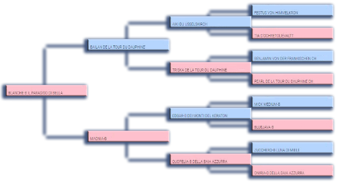 Pedigree padre di Hiness Ortensia Blu