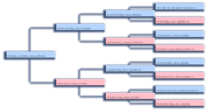 Pedigree padre di Hiness Ortensia Blu