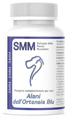 SMM - Sviluppo della Massa Muscolare